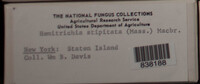 Image Associated With the Occurence